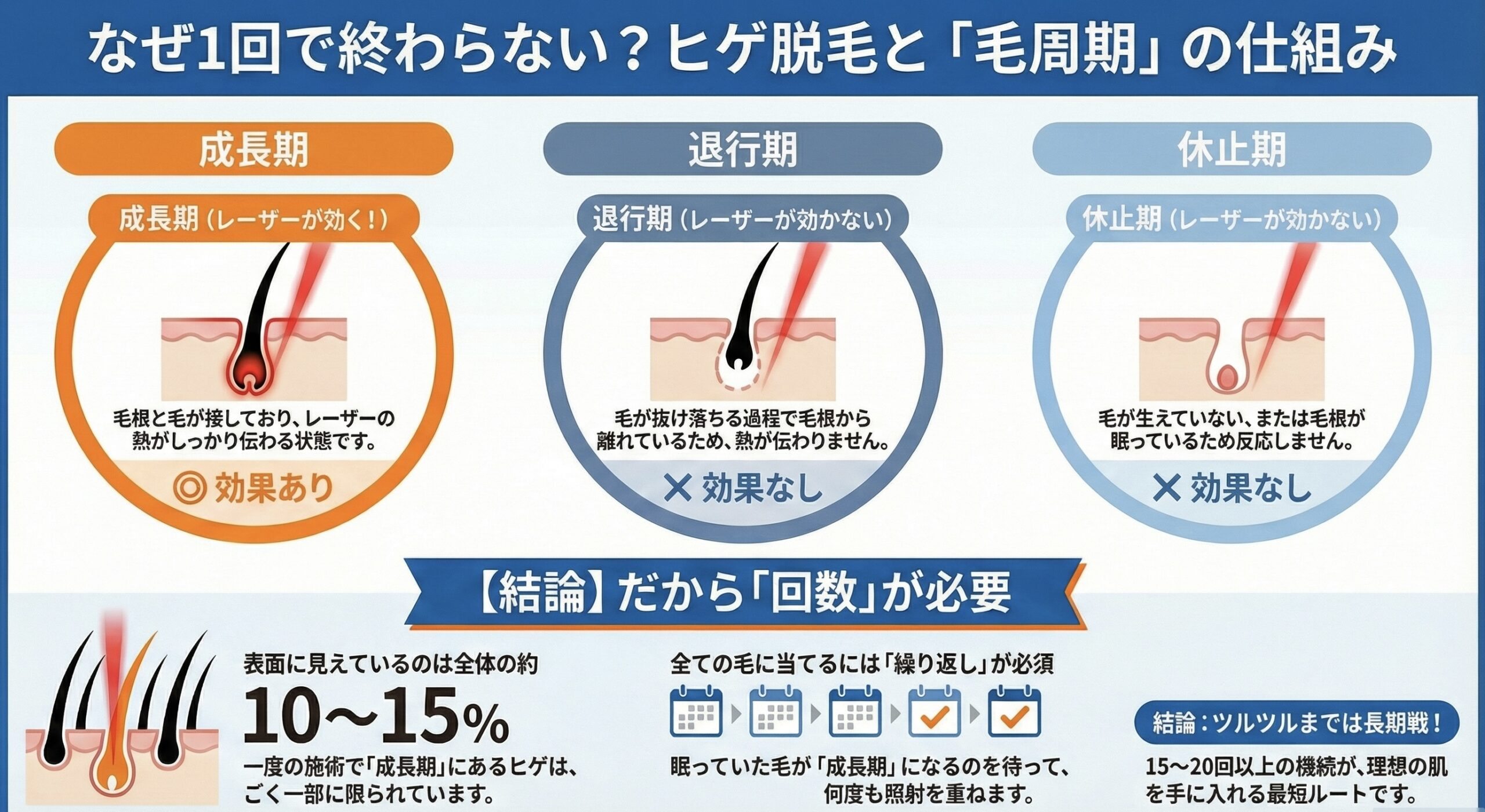 ヒゲ脱毛 毛周期 成長期 仕組み